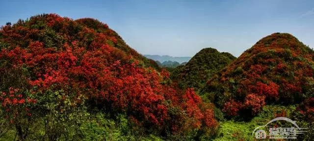  自驾游新玩法？东风风行景逸SUV邀你来一场城市深度自驾游！ 