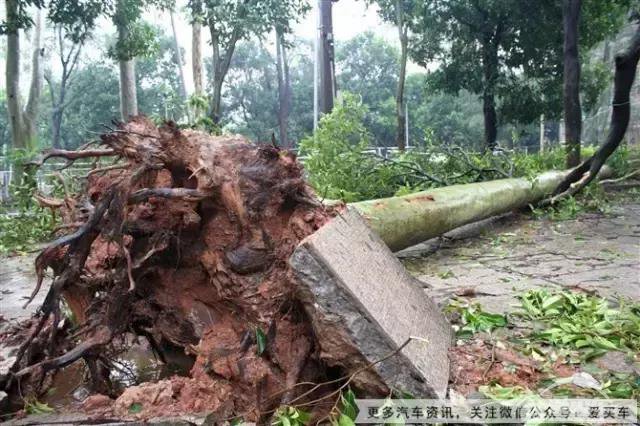  实用| 汽车落水后怎样逃生？买车君亲测保命绝招！ 