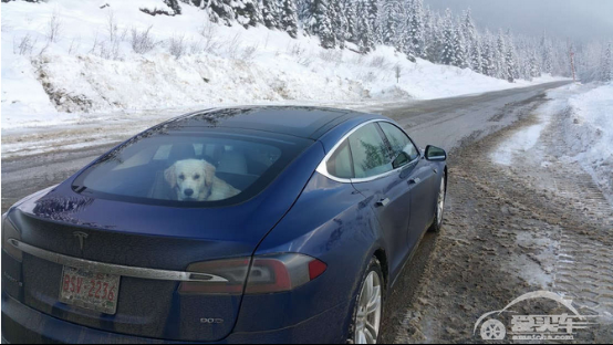 加拿大车主驾驶特斯拉Model S 90D的第一场冬季公路之旅