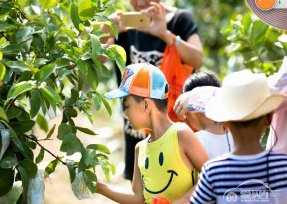 《力帆汽车爱心植树感恩活动》