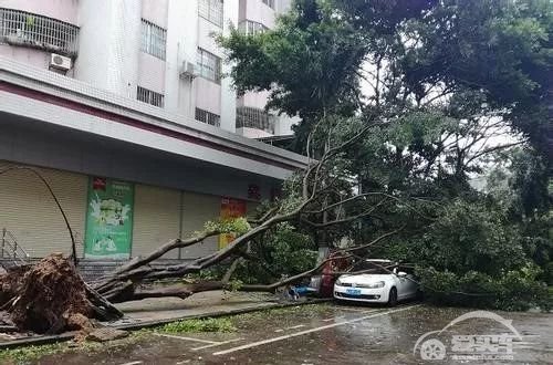 “利奇马”袭击浙沪粤，台风天该如何安全行车和停车？