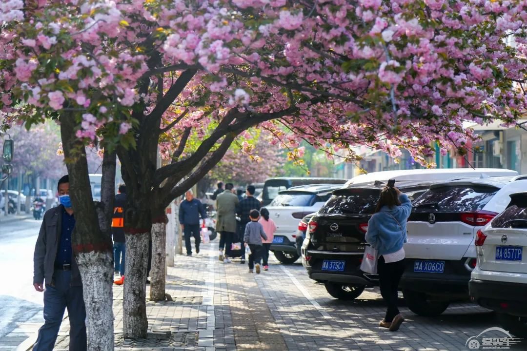 各地购车优惠盘点，深圳补贴2万，五一假去哪里买车最便宜？