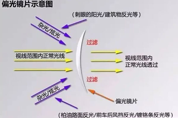  开车时不建议戴墨镜？夏季用车这些保命知识点要记住 