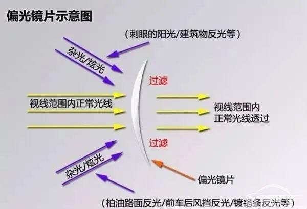 开车时不建议戴墨镜？夏季用车这些保命知识点要记住