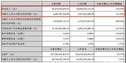  “电池一哥”宁德时代发布年中报，将对汽车行业产生哪些影响？ 