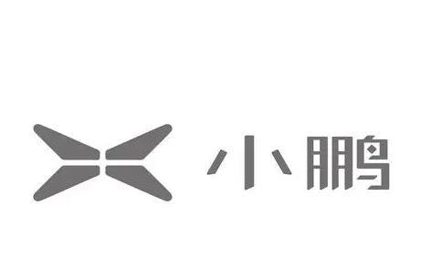  造车新势力首个低碳教育专项基金成立 小鹏基金会助力绿色公益 